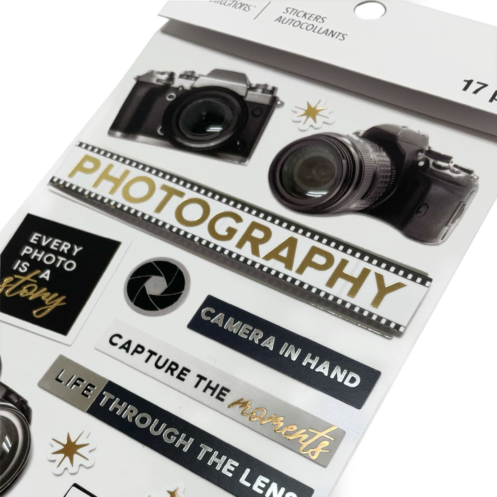 Recollections Photography Stickers, 12 Pack