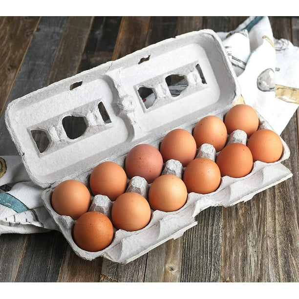 MT Products Blank Natural Pulp Egg Cartons Holds Up to Twelve Eggs - 1  Dozen Strong Sturdy Cardboard Material Egg Crate Bulk - Perfect For Storing