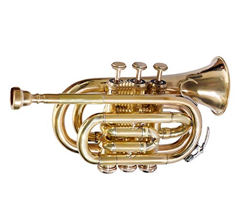 NEW MONTH SALE Pocket Trumpet 3 Valve's Shinning Brass with Mouthpiece and Case
