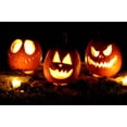 thumbnail image 5 of TomorrowSeeds - Jack O' Lantern Pumpkin Seeds - 60+ Count - For 2025 Planting Patch Pumpkins Field, 5 of 11