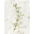 thumbnail image 2 of Vess, June Erica 12x14 Black Ornate Wood Framed with Double Matting Museum Art Print Titled - Antique Earthtone Herbs III, 2 of 4