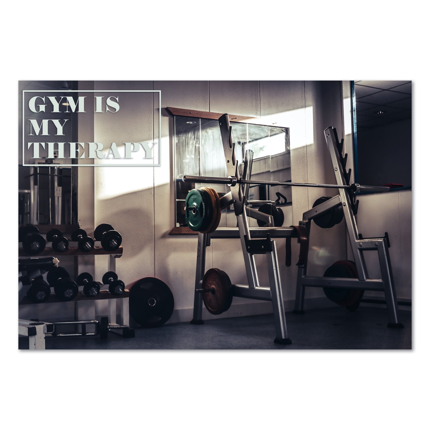 Details about   Productive Fitness Poster Series Home Gym Exercises Laminate or Non-Laminate 
