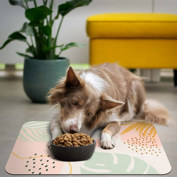 Water absorbent dog store food mats