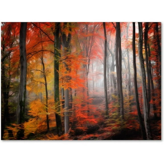Trademark Fine Art "Wildly Red" Canvas Art by Philippe Sainte-Laudy