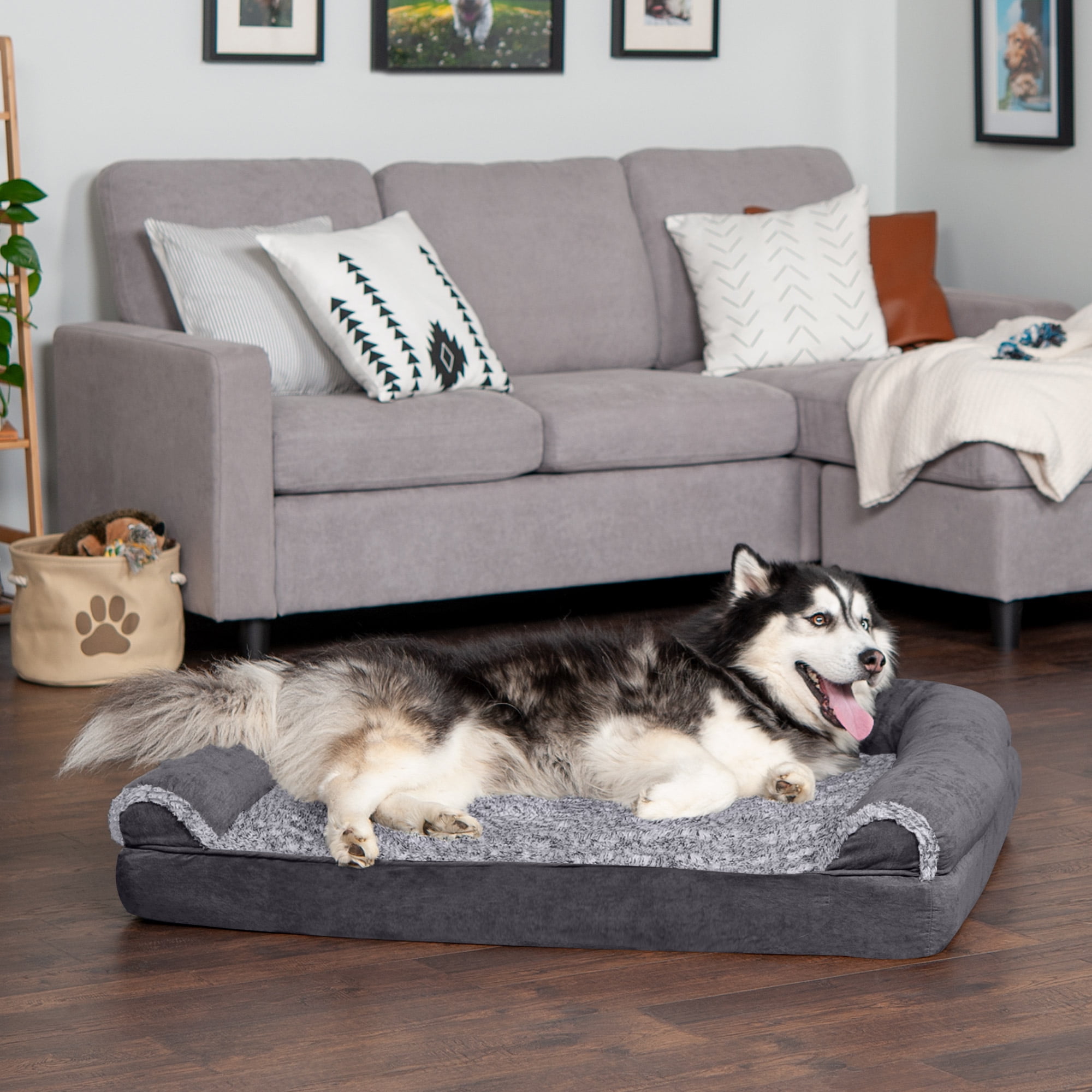 Double dog ortho dog couch best sale