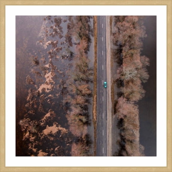 Marmont Hill "Lone Car" by Karolis Janulis Framed Painting Art Print