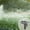 Red, variant on Garden Sprinklers, 1/2 Inch Plastic Impact Sprinklers Heads ,Adjustable 0-360 Degree Pulsating Oscillating Watering Sprinkler Head