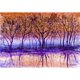 thumbnail image 1 of Taladro Pintura Diamante (DE1839) Cuadro Reflejo de Árbol DIY Completo 5D Kit Redondo 30x40cm FLhrweasw Nuevo, 1 of 1