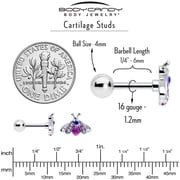Body Candy 16 Gauge 1/4 Pink Blue Gem Beautiful Insect Cartilage Tragus Earring Stainless Steel for Women
