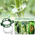 thumbnail image 2 of 100pcs Plant Support Clips, Plastic Garden Fixing Clips for Climbing Plants Tomato Grape Vines, Greenhouse Garden Clips to Keep Plants Upright & Healthy (White), 2 of 8