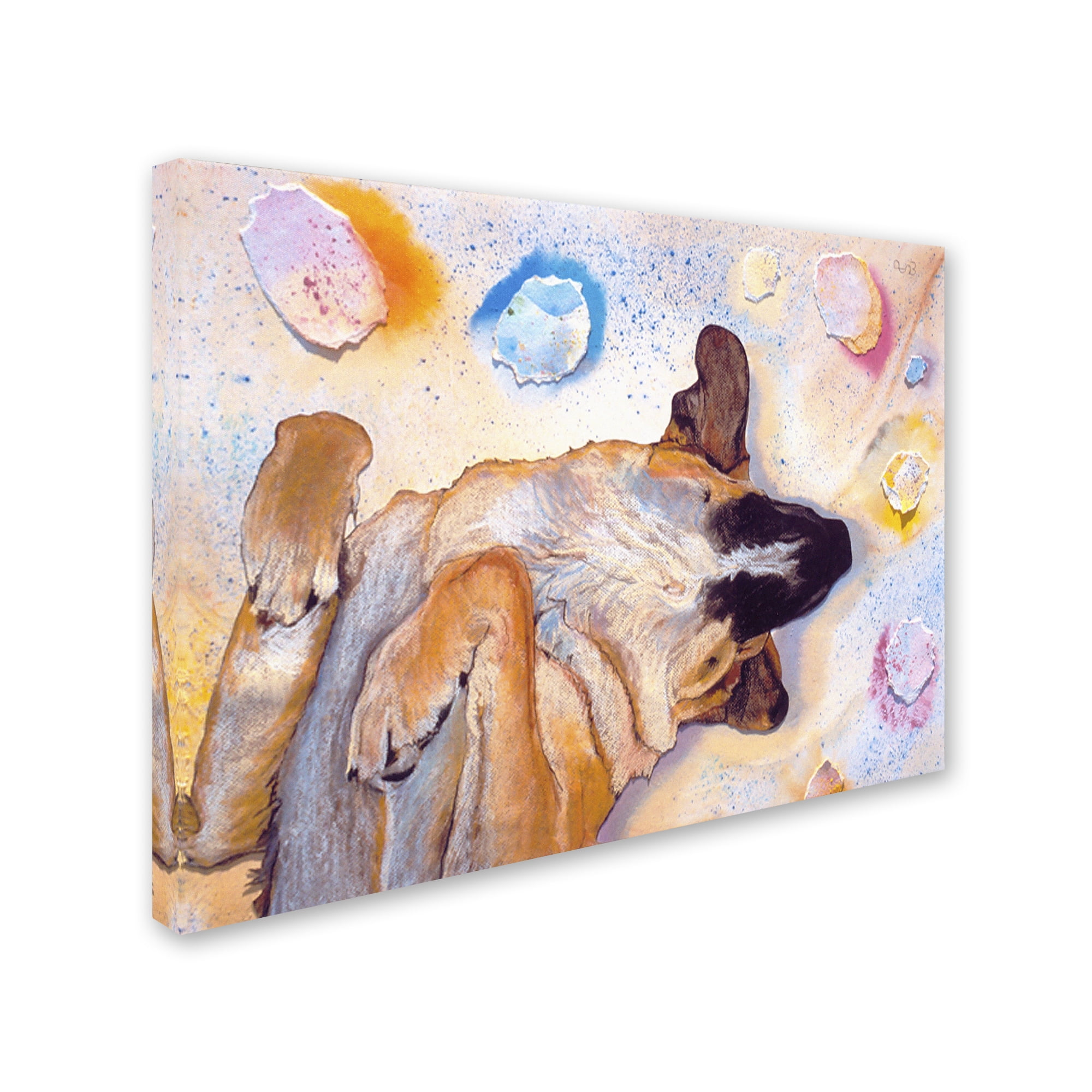 Trademark Fine Art "Dog Dreams" Canvas Art by Pat Saunders-White