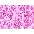 thumbnail image 1 of Ahgly Company Indoor Rectangle Abstract Pink Modern Area Rugs, 2' x 3', 1 of 4