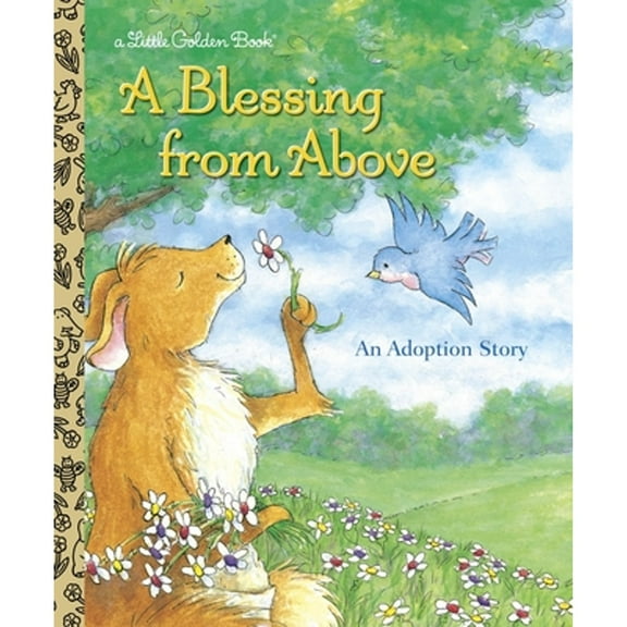 Pre-Owned A Blessing from Above (Hardcover) 0375828664 9780375828669
