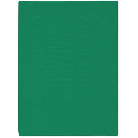 Plymor 9" x 12" (Pack of 100), Green 2 Mil Flat Open Plastic Poly Bags