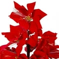 thumbnail image 4 of Northlight Pre-Lit Fiber Optic Color Changing Poinsettia Artificial Christmas Tree - 4' - Red - Multi Lights, 4 of 4
