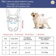 thumbnail image 3 of Dog Cat Carrier Backpack Adjustable Frontpack Carrier Outdoor Travel Bag Legs Out Easy-Fit for Small Medium Pets Puppiies, 3 of 8
