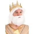 thumbnail image 2 of King Neptune Adult Wig and Beard Set, 2 of 4
