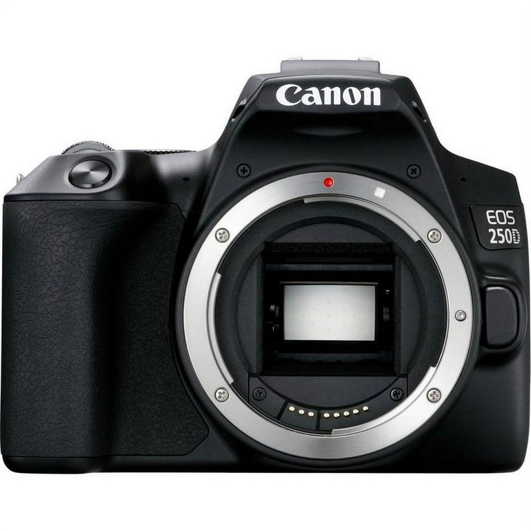 Canon 250D / SL3, Best DSLR Camera in 2021?