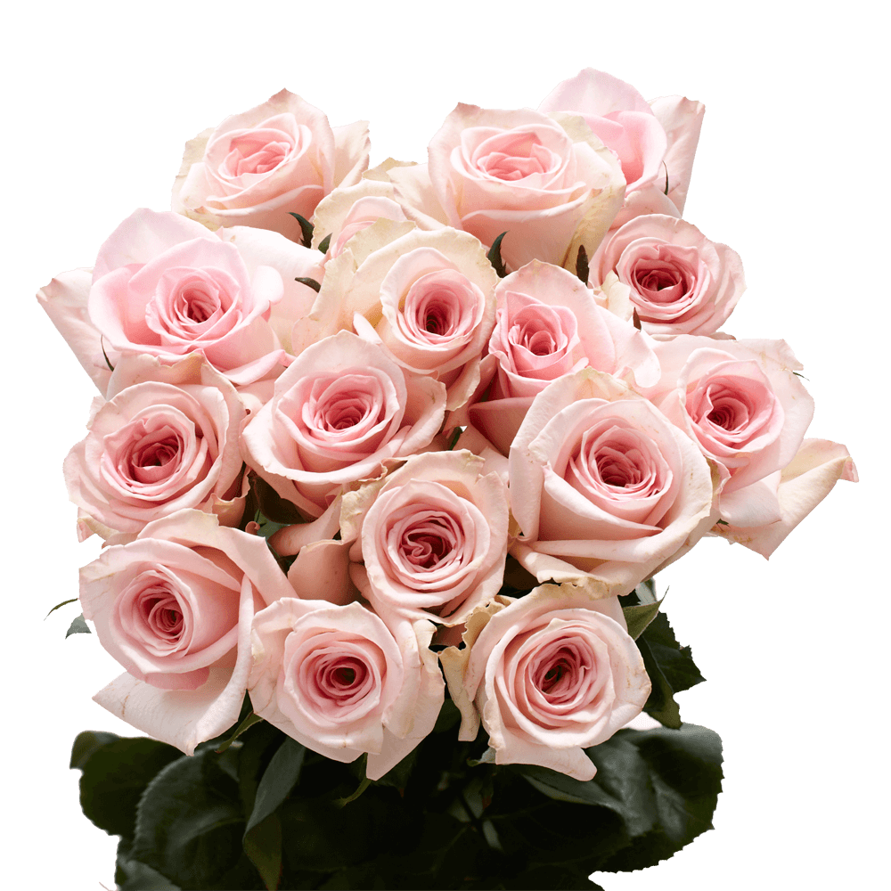 6 Stemmed 3 Paper Flowers Classic Floral Bouquet Black and White Roses