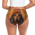 thumbnail image 3 of Womens Underwear Autumn Dachshund Cozy Hat Cuteness No Show Seamless Underwear for Women, Soft Stretch Women's Panties, Hipster Ladies Panties Bikini Underwear Briefs, 3 of 6