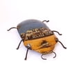thumbnail image 5 of De Kulture Works Iron Beetle Wall Sculpture, Decorative Collectible Figurine, 1 Count, 5 of 6