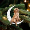 thumbnail image 1 of Perros Colgantes Colgantes Para Árboles De Navidad Decoraciones Para Perros Para Mascotas Colgantes Para Colgar En Ventanas O Puertas Advancent HA042685-08, 1 of 6
