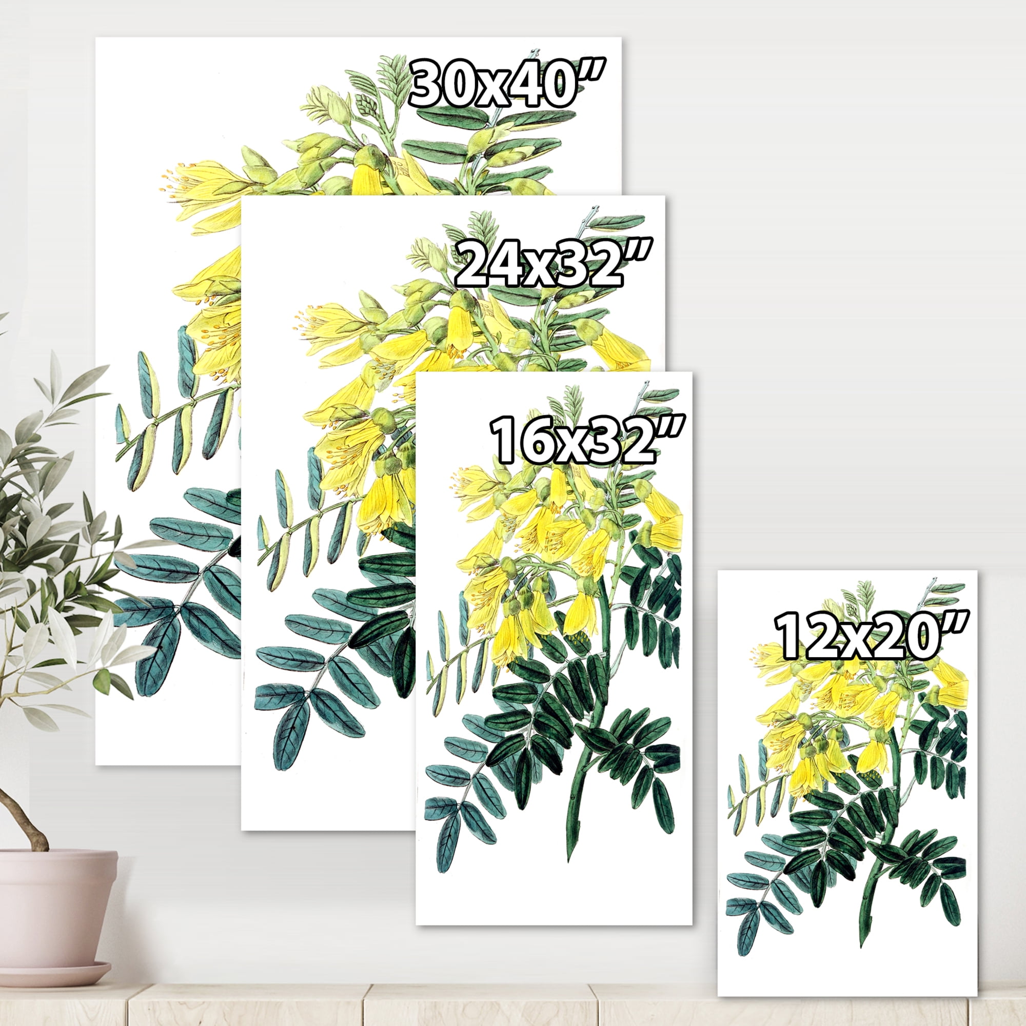 Designart ' Ancient Yellow Flower II ' Traditional Canvas Wall Art Print