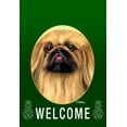 thumbnail image 1 of Pekingese - Best of Breed Welcome Pineapples House Flags, 1 of 1