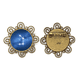 thumbnail image 1 of Una estrella de la suerte. Broche de flores, regalo de joyería para mujeres y niñas Unbranded M, 1 of 3