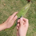 cucumber-peeler-y-peeler-stainless-steel-corn-remover-corn-cob-fresh