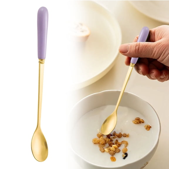 Tableware Set 410 Stainless Steel Dessert Spoon – 17.5cm Long Handle Ice Spoon with Ceramic Handle (Purple)