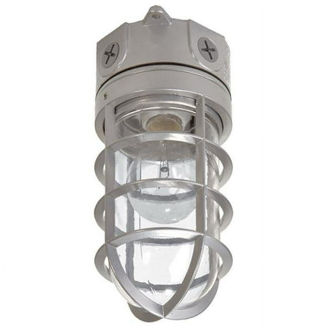 Cooper Lighting VT100G 100W Lumière Incandescente Serrée à la Vapeur