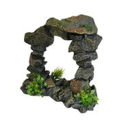 Underwater Treasures Boulder Arch