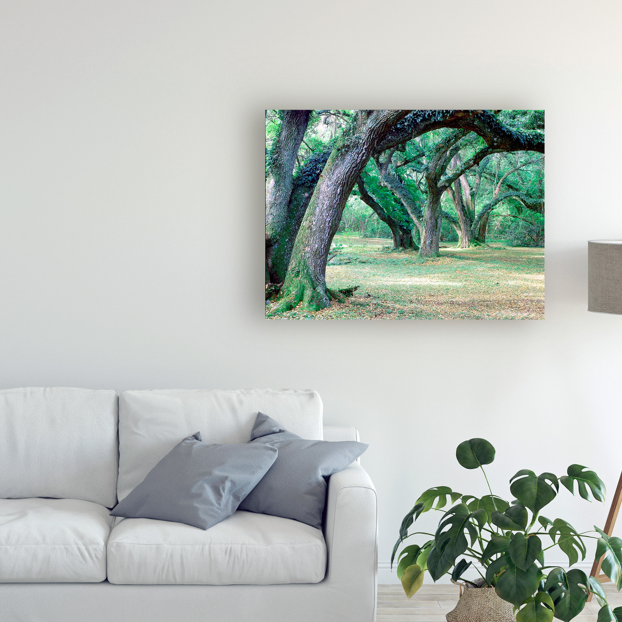 Trademark Fine Art 'Louisiana Oaks Louisiana' Canvas Art by Monte Nagler
