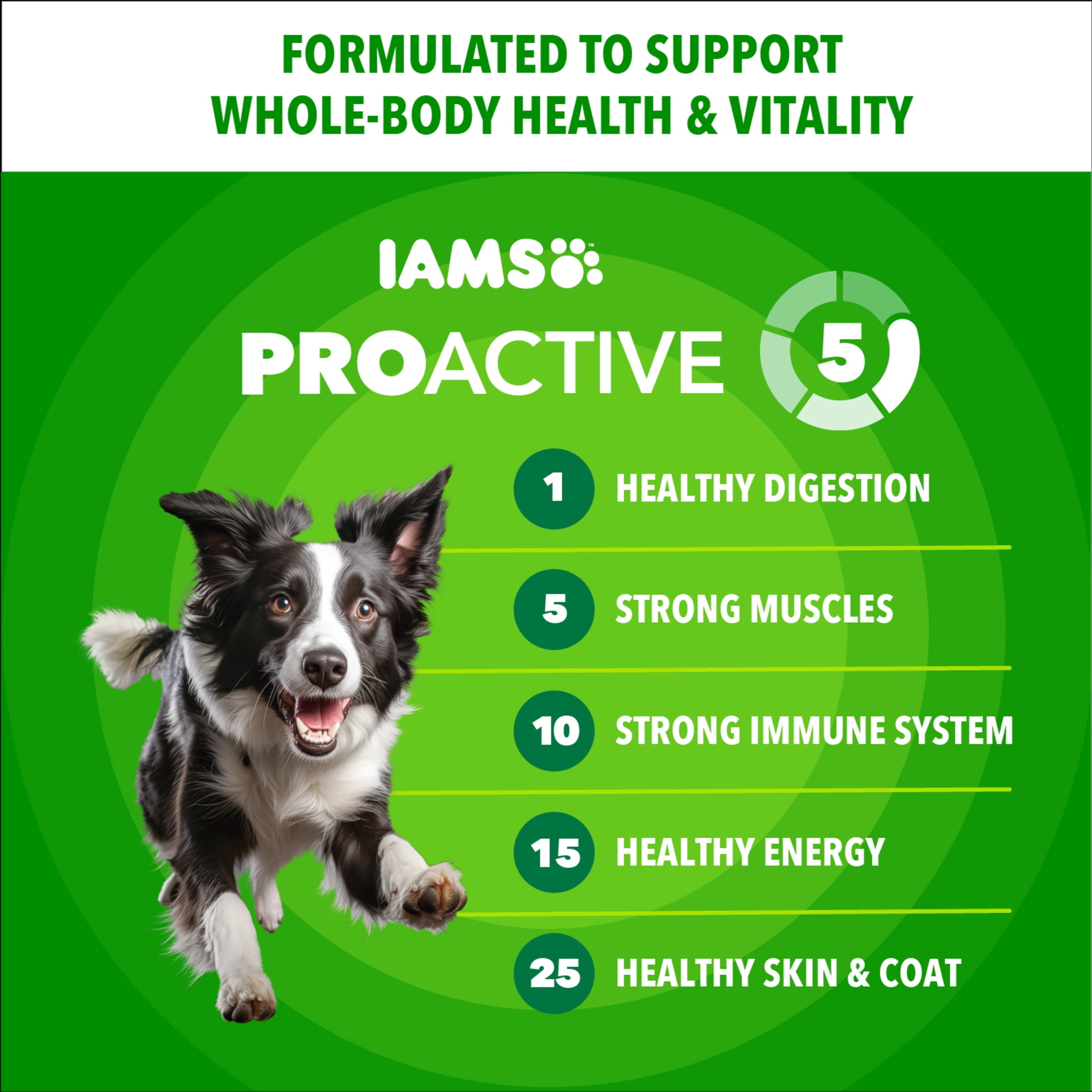 IAMS Proactive Health Adult Mini Chunks Chicken & Whole Grain Recipe Dry Dog Food, 5 lb Bag