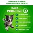thumbnail image 4 of IAMS Proactive Health Adult Mini Chunks Chicken & Whole Grain Recipe Dry Dog Food, 5 lb Bag, 4 of 11