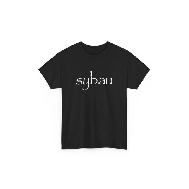 Funny brainrot sybau graphic tee - perfect gift