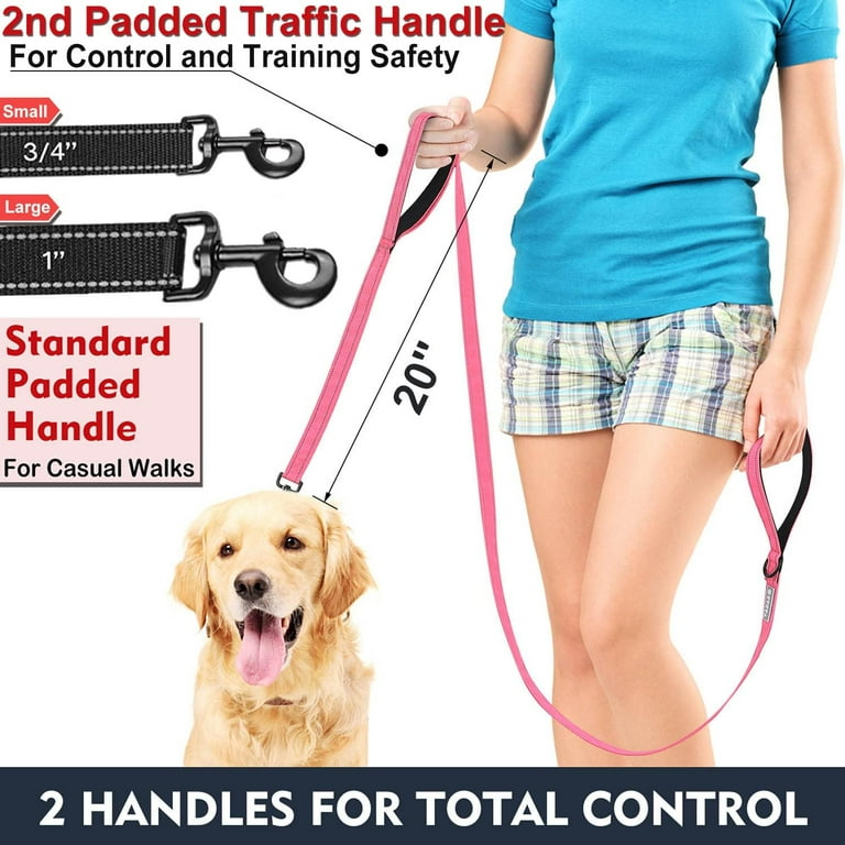 Double dog lead for small dogs hot sale