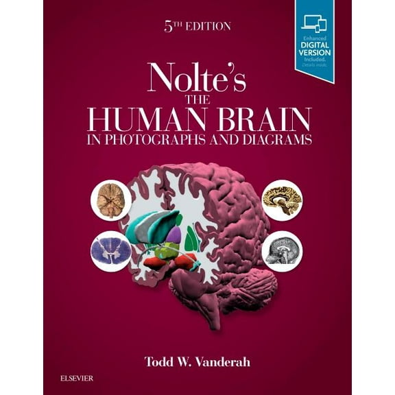 Nolte's the Human Brain in Photographs and Diagrams, (Paperback)