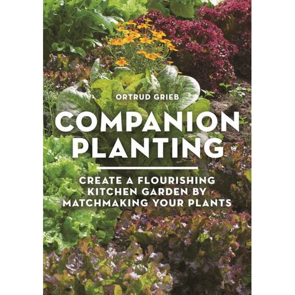Companion Planting: Create a Flourishing Kitchen Garden By Matchmaking Your Plants