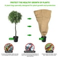 thumbnail image 1 of JINSIJU Plant protection bag with Adjustable drawstring Anti-freeze Tool, 1 of 7