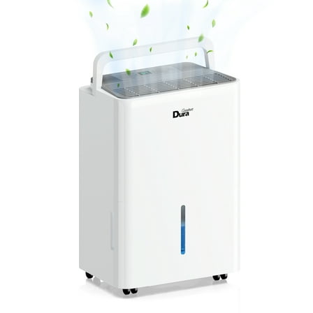 DuraComfort 8 Pints Dehumidifier with Drain Hose, Portable Dehumidifier for Basement and Room, Covers up to 1000 Sq.ft
