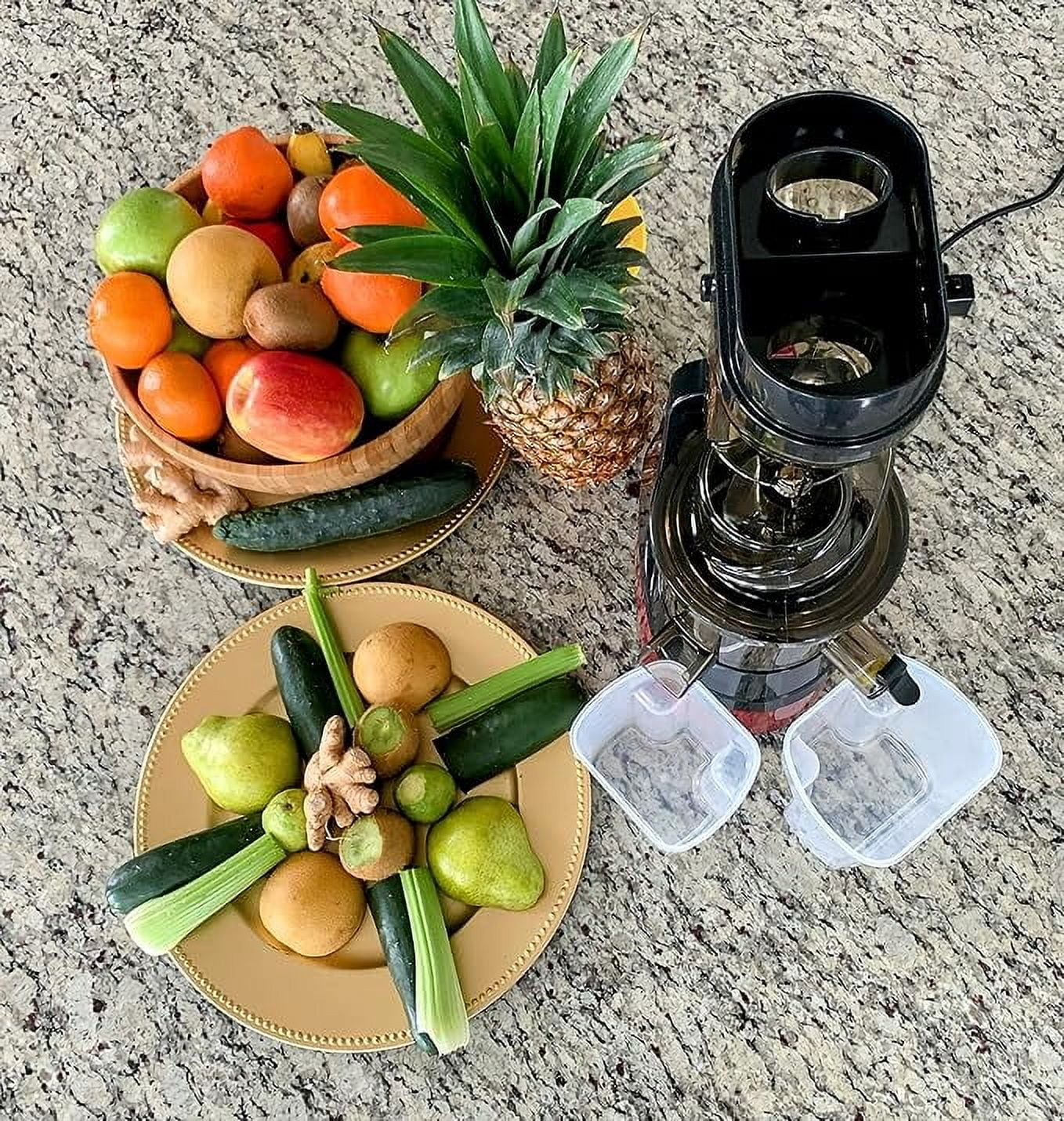 Guirla Premier Cold Press Juicer