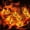 Orange,A, variant on Halloween Decorations Outdoor,Halloween Lights Pumkin Lights,39in Mini Pumpkin String Lights for Party Garden Indoor Outdoor Decorations