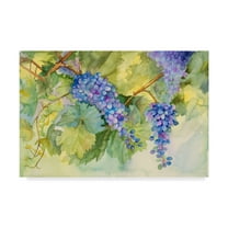 Trademark Fine Art 'Grape Vineyard' Canvas Art by Joanne Porter