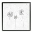 thumbnail image 2 of Stupell Industries Dandelion Florals Flying Seeds Flower Line Art Drawing,17 x 17, Design by Cloverfield & Co., 2 of 5