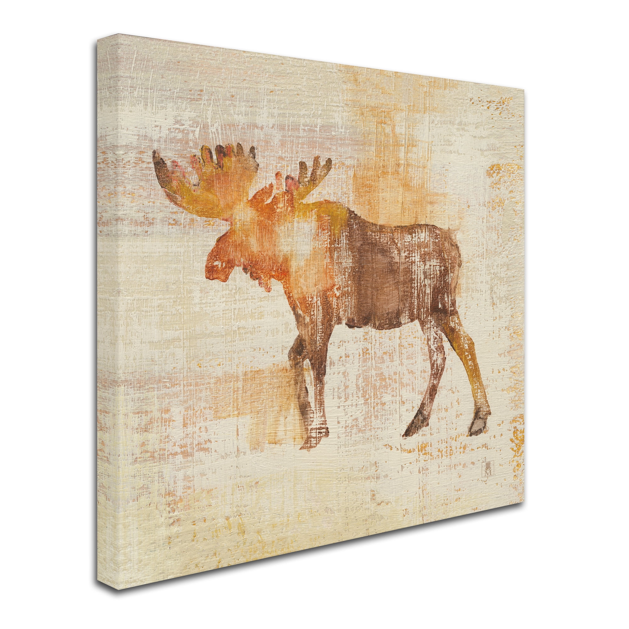 Trademark Fine Art 'Moose Study' Canvas Art by Studio Mousseau