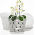 thumbnail image 4 of Macetas para orquídeas ckepdyeh de 7 pulgadas (5 macetas y platillos), macetas con agujeros y macetas de plástico transparente para trasplantar., 4 of 8