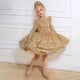 thumbnail image 1 of Vestido infantil de anfitriona de hilo de farol Vestido de princesa de cumpleaños de niña Vestido de actuación de piano de espectáculo de niña pequeña, 1 of 4