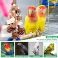 thumbnail image 5 of Wooden Parrot Chew Toy Funny Parrot Cage Bite Plaything Creative Enduring Bird Chewing Toy for Macaw Cockatoo, 5 of 10